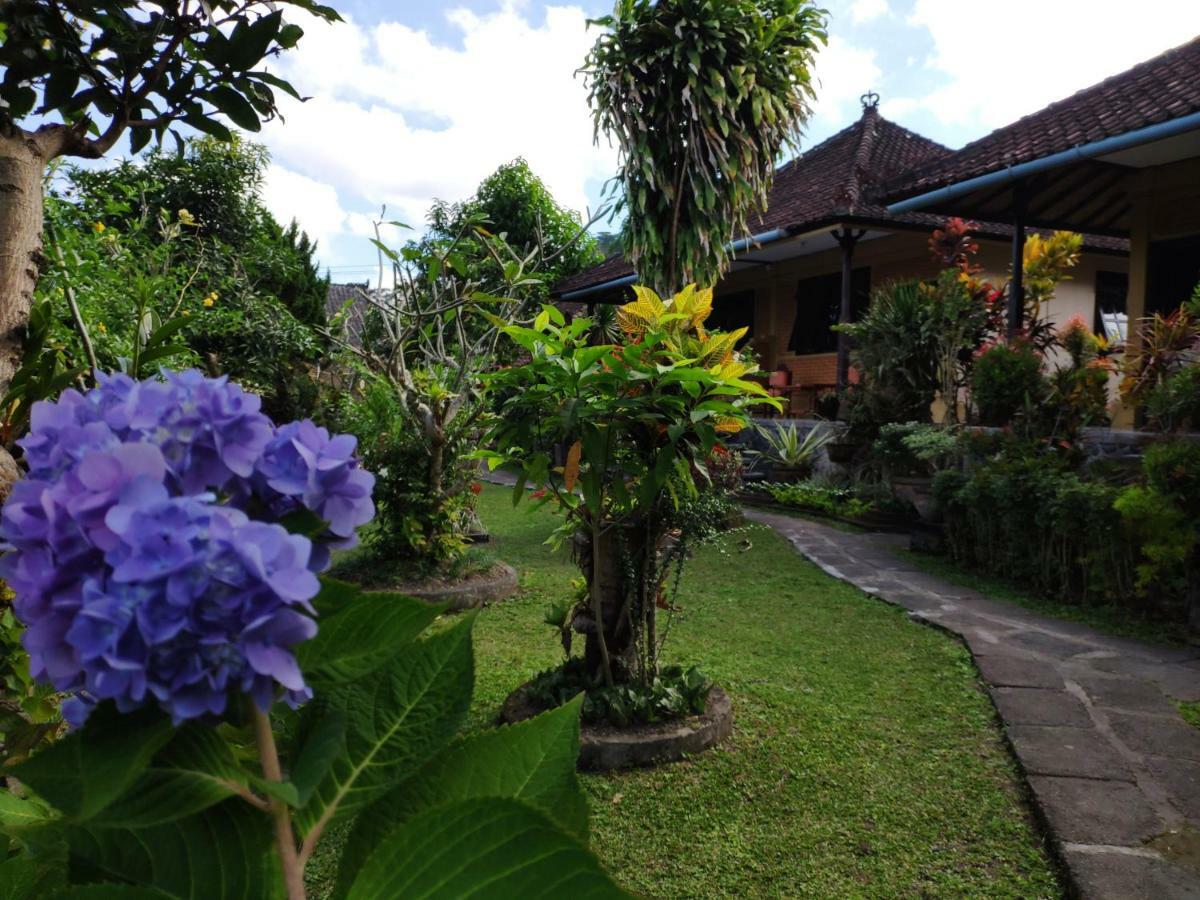 Rijasa Homestay Karangasem Kültér fotó